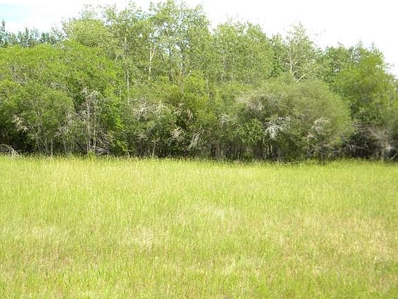 3rd image of 3010 Baneberry Ave