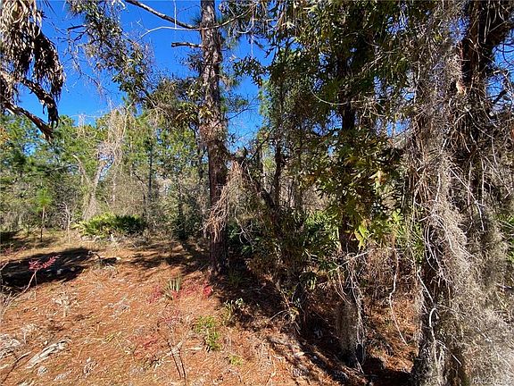 3rd image of 10253 W Donegal Ln