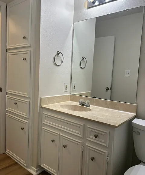 Bathroom vanity and linen/bath supply cabinets.