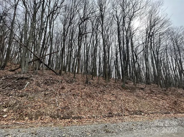 332 Hamlin Ln, Mars Hill, NC 28754