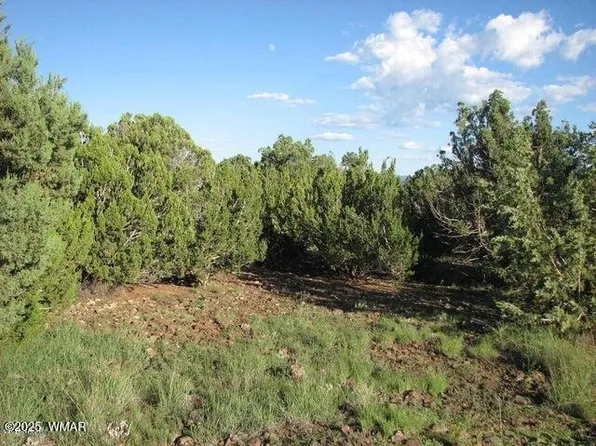 Sec 29 T14n #R17e-parcel 6, Heber, AZ 85928