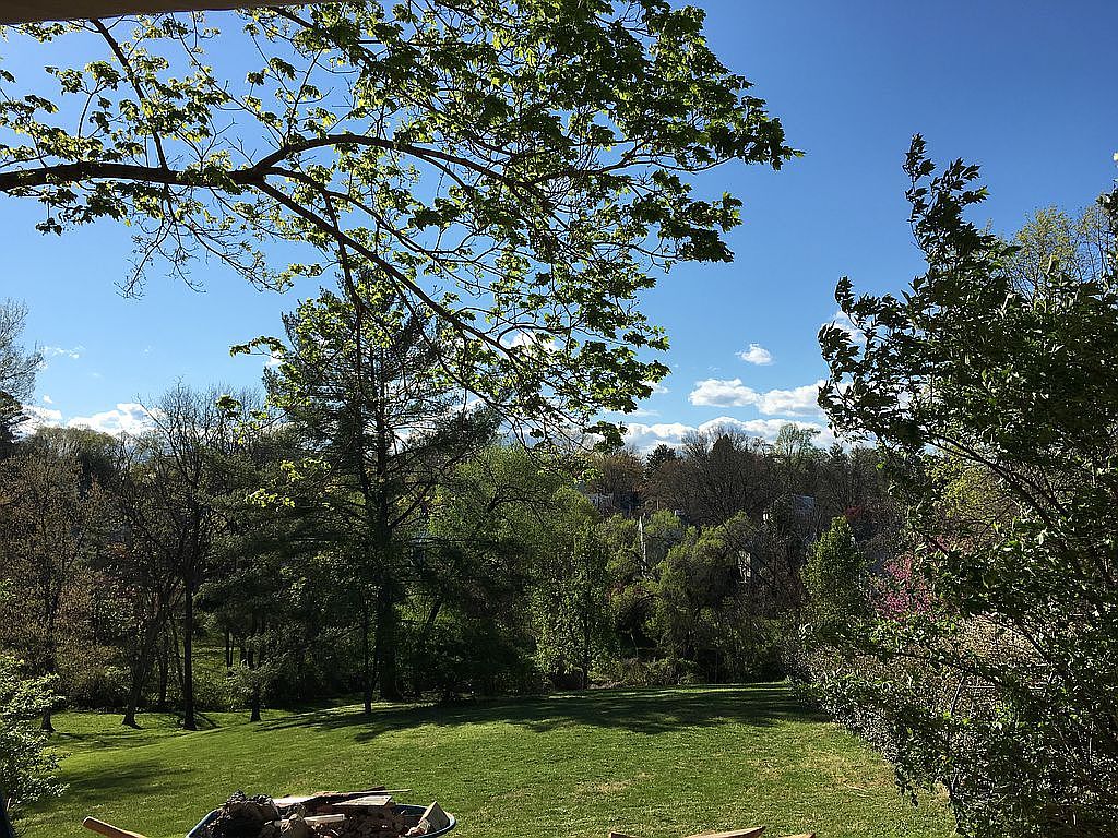 805 Locust Ave, Charlottesville, VA 22902 Zillow