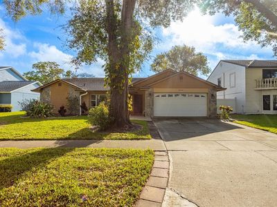 8639 Leighton Dr, Tampa, FL, 33614