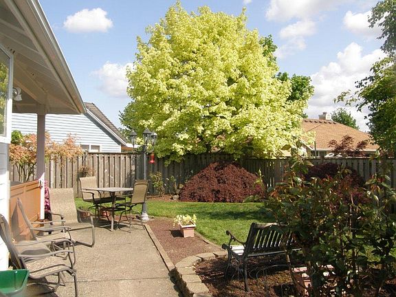 Back side yard