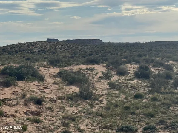 Tract 439 Painted Desert Ranches -- #439.440,441,442, Adamana, AZ 85634