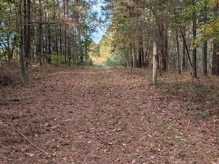 Elevation Rd — Photo 13