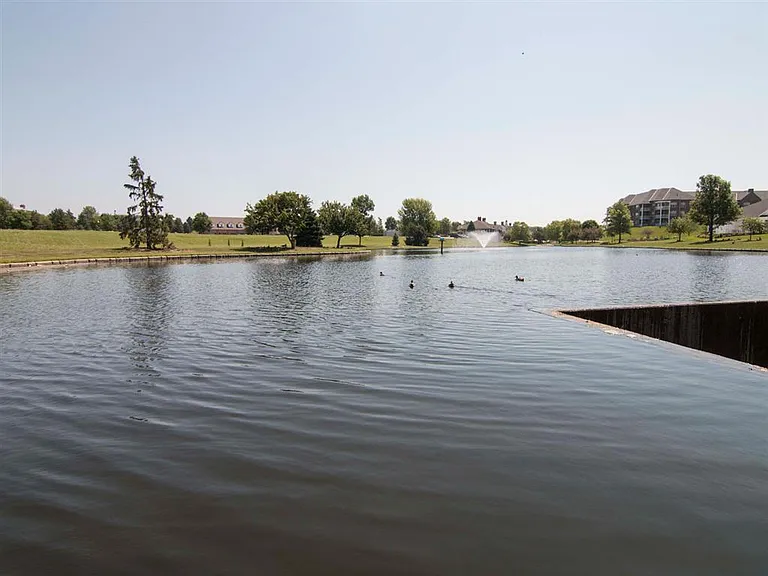 Take an evening stroll around the ponds next to Williamsburg Park Apartments