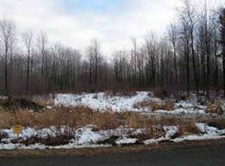 11100 Quarry Rd, Forestville, NY 14062