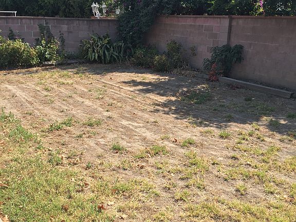 Large yard ! Empty canvas!!