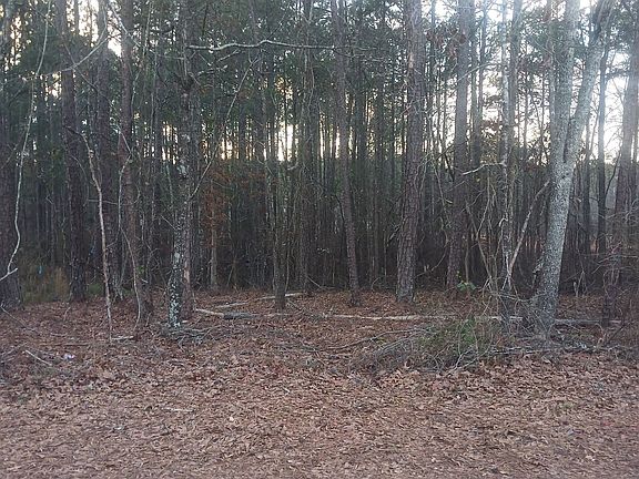 3rd image of 90 Harville Rd