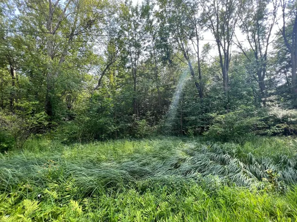 0 County Road 380, South Haven, MI 49090