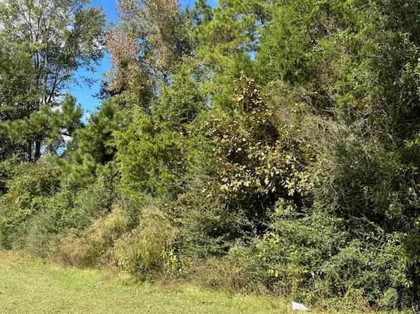 County Road 4682, Carthage, TX 75633