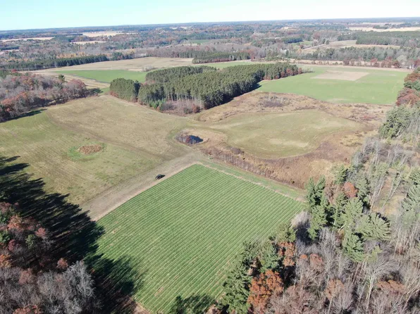 10061 Flume Rd, Rosholt, WI 54473