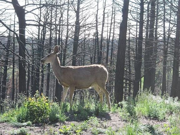 3rd image of 453 Wagon Mesa Loop