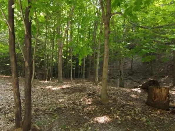 0 Lost Valley Rd, Montague, MI 49437