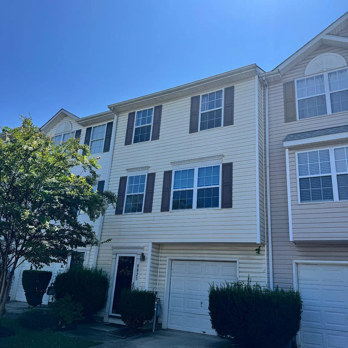 3 bed, 2.5 bath, 1768 sqft, $3,000 — Photo 1