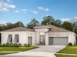 15234 Serengeti Blvd, Spring Hill, FL 34610