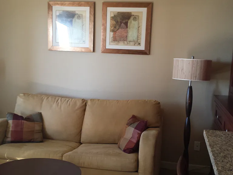 801 National City Blvd #1011 — Photo 28