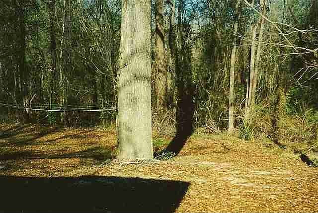 2nd image of 3229 County Road 156