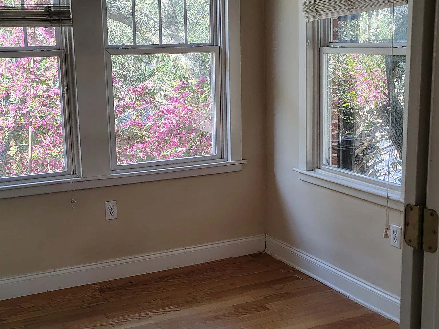 2 bed, 850 sqft, $1,575 — Photo 2