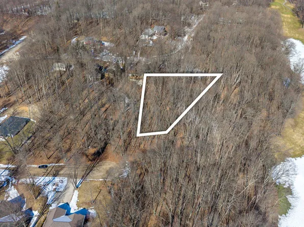 11270 Apache Wells Ct, Stanwood, MI 49346