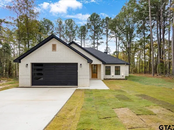 16971 Mary Martin Dr, Flint, TX 75762