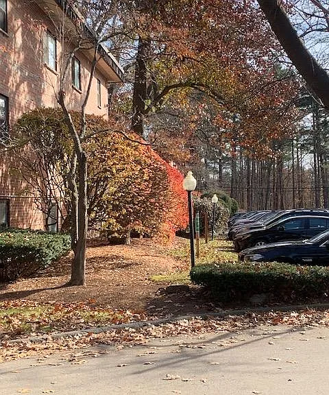 1325 Worcester Rd #5 — Photo 1