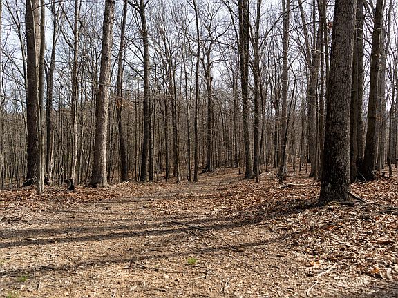 3rd image of Walnut Ridge Rd SE