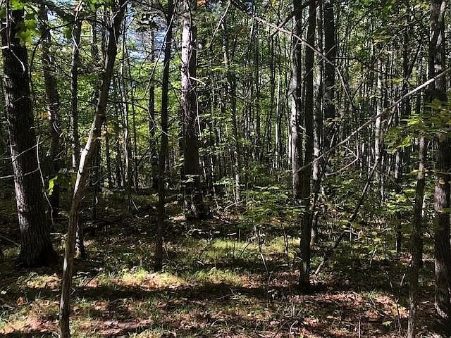 1st image of Lot 10 PATRICE PINES LN