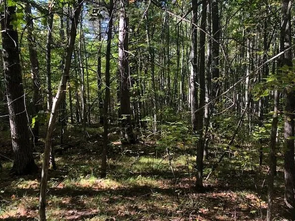LOT 10 Patrice Pines Ln, Minocqua, WI 54548