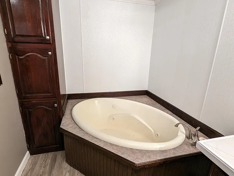 Jacuzzi tub and linen cabinet