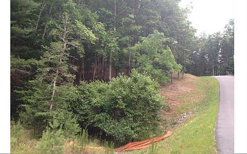 5th image of Lot 53 Old Birch Bend