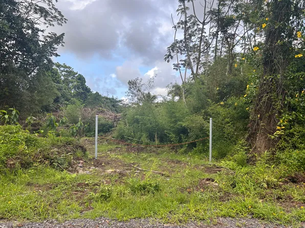 Railrd Rd Lot 17, Keaau, HI 96749