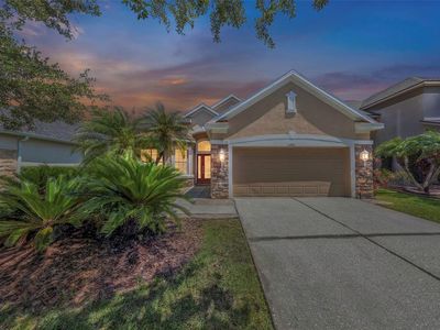 11243 BLACKSMITH DRIVE, Tampa, FL, 33626