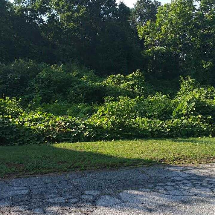 2nd image of 34 Shellstone Dr