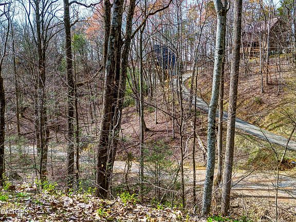3rd image of LOT-194A Ski View Ln