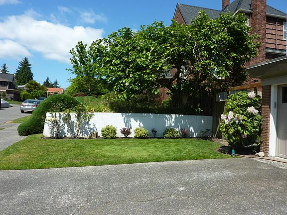 Front yard - North
