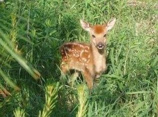 N9018 Benson Rd, Brooklyn, WI 53521