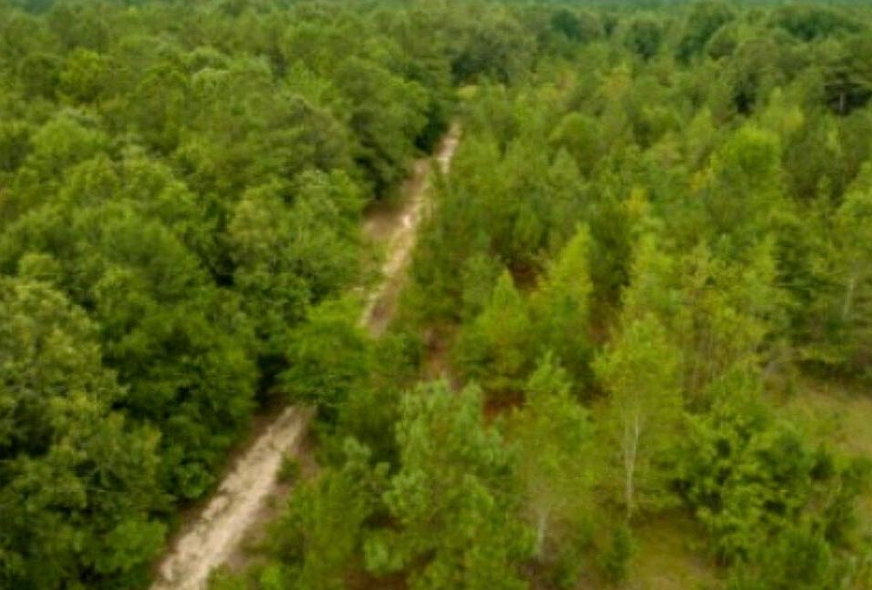 2nd image of 354 Wildlife Lane