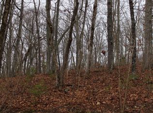 9 Thunder Rd, Hayesville, NC 28904