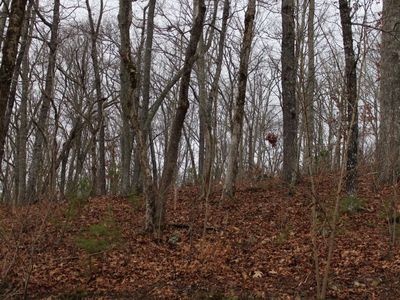 9 Thunder Rd, Hayesville, NC, 28904