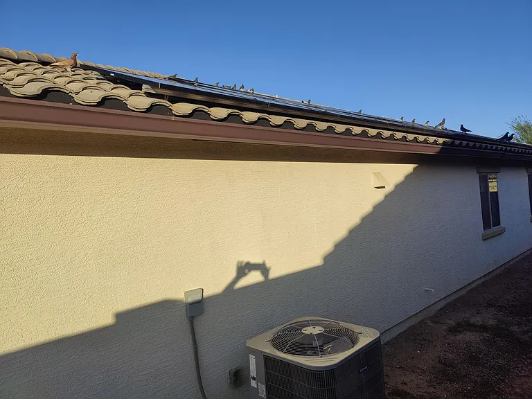 502 W Pintail Dr — Photo 56