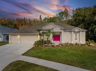 26249 Sword Dancer Dr, Wesley Chapel, FL 33544
