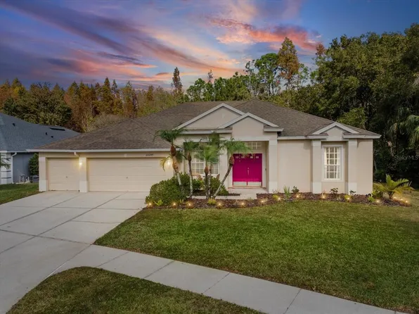 26249 Sword Dancer Dr, Wesley Chapel, FL 33544