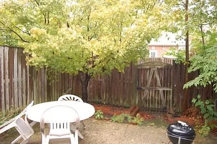 Back yard