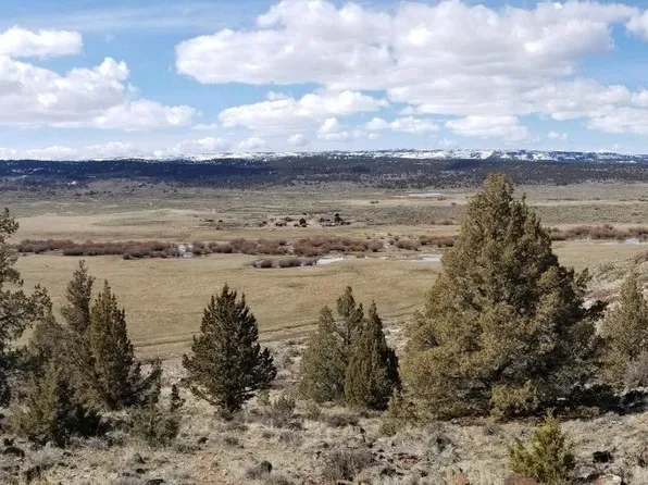 TRACT 36 Triangle Rnch, Murphy, ID 83650