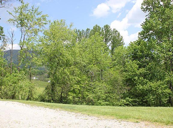 5th image of 81 Fern Hill Ln