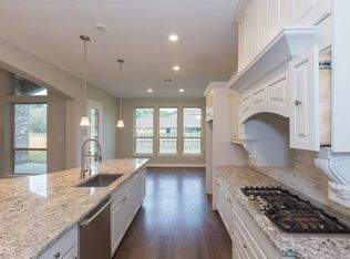 20146 E Hachita Cir, Spring, TX 77379