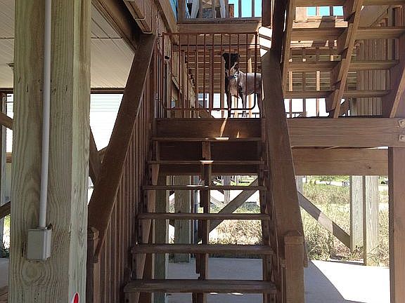 Stairs to main level