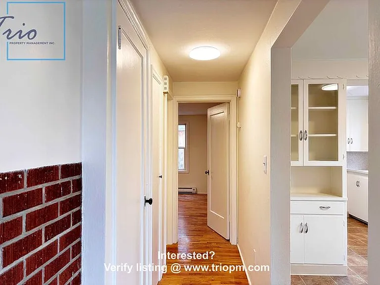 1869 Hilyard St — Photo 3